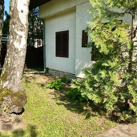 Apartment Balatonszeplak *